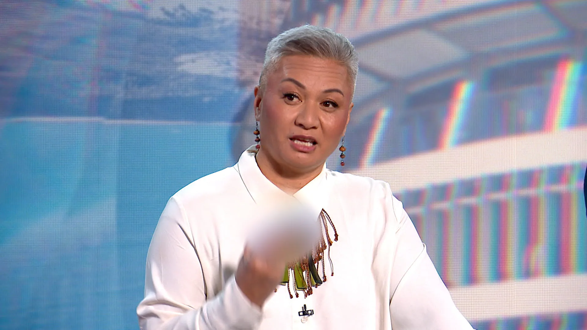 Māori and politics: Whose voice counts?