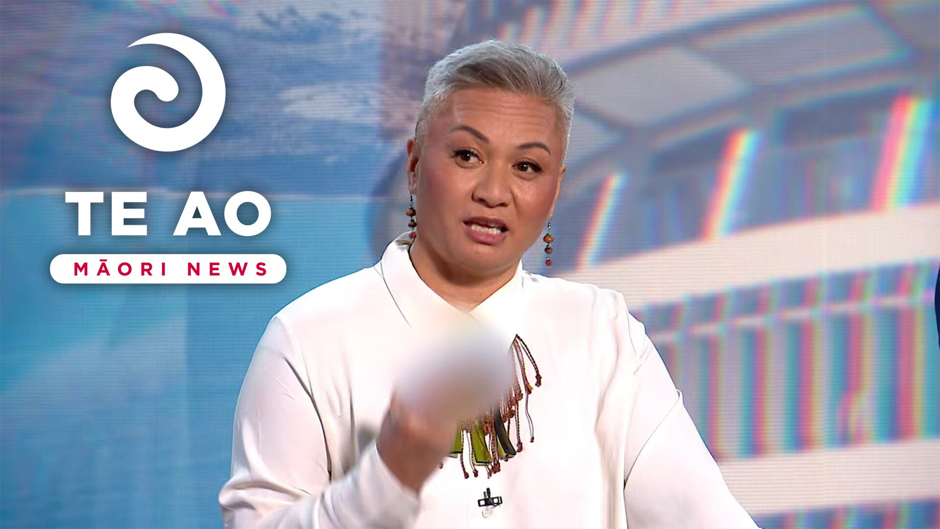 Māori and politics: Whose voice counts?